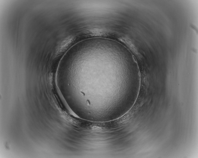 X0000097300066200802151448