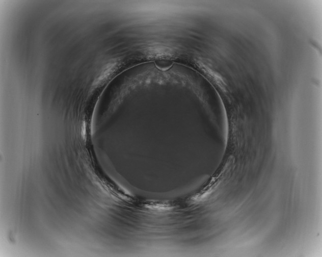 X0000097300067200802151448