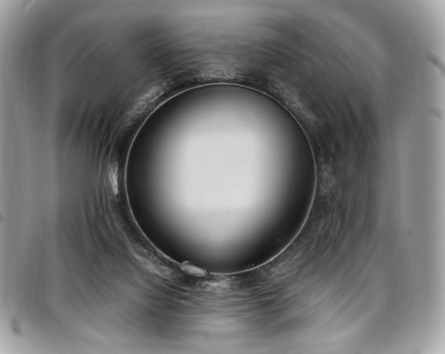 X0000097300068200802151449