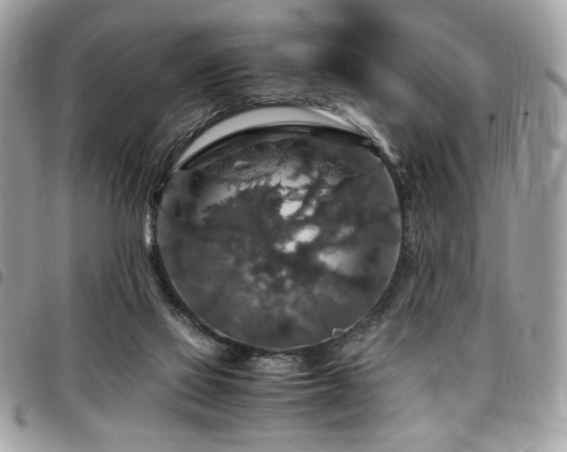 X0000097300069200802151449