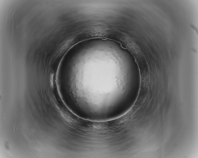 X0000097300070200802151449