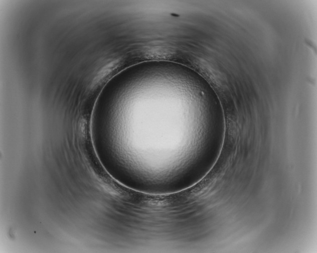 X0000097300071200802151449