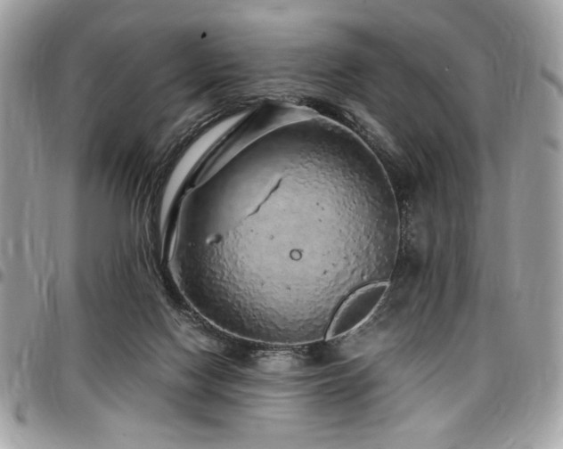 X0000097300074200802151449