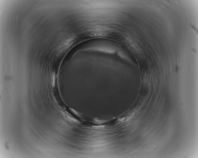 X0000097300076200802151449