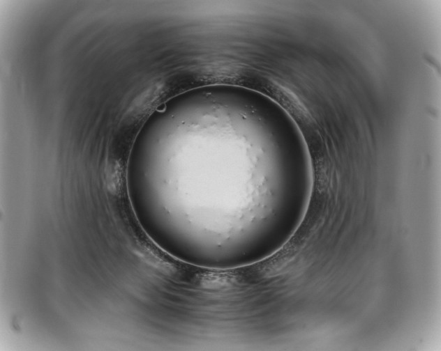 X0000097300077200802151449