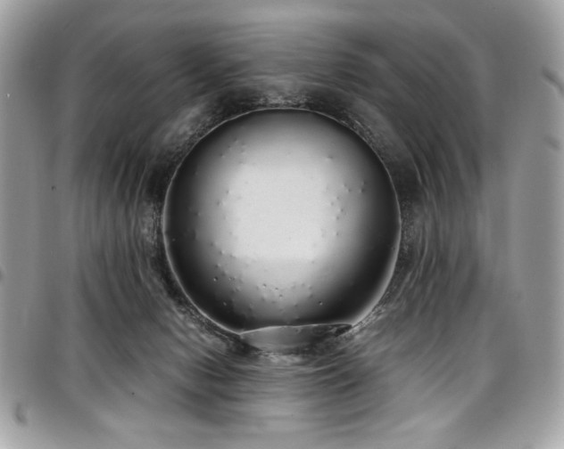 X0000097300078200802151449