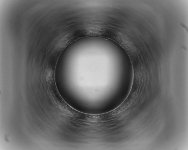 X0000097300079200802151449
