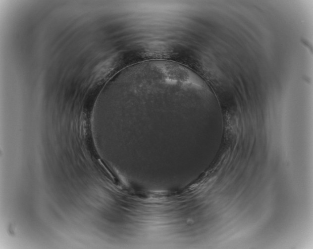X0000097300080200802151449