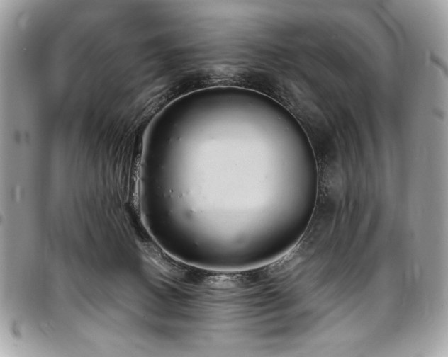 X0000097300082200802151449