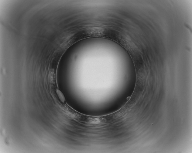 X0000097300083200802151449