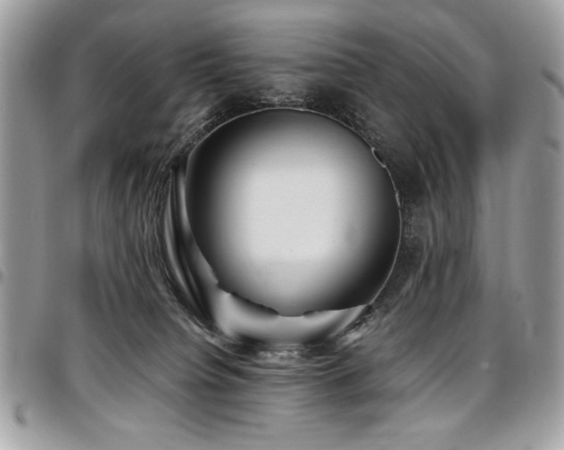 X0000097300084200802151449