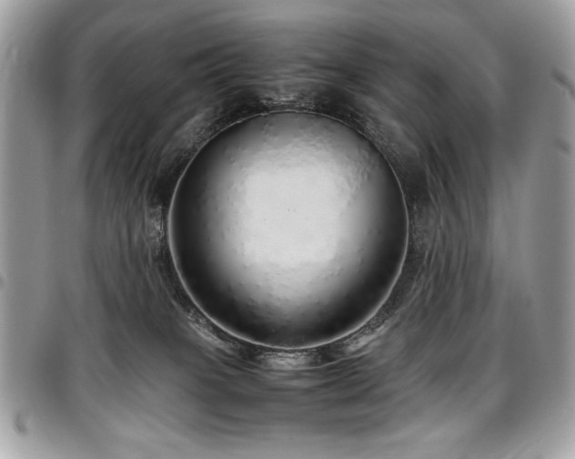 X0000097300085200802151449