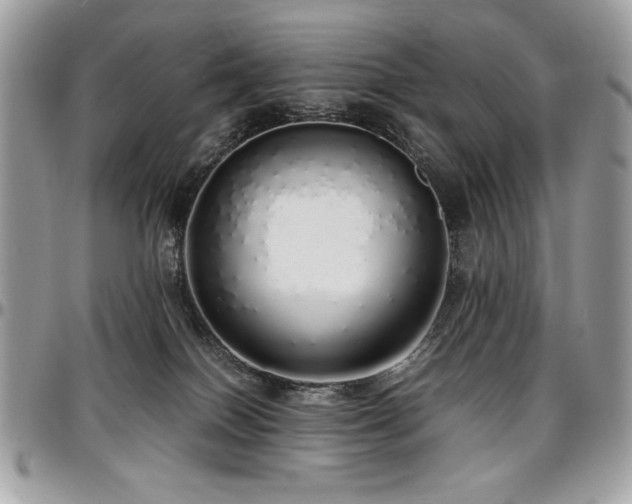 X0000097300086200802151449