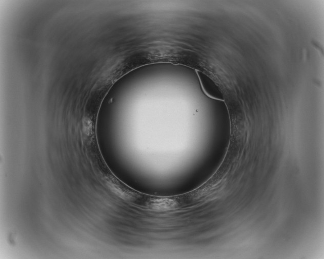 X0000097300087200802151449