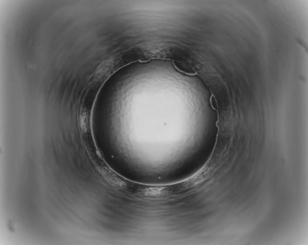 X0000097300090200802151449