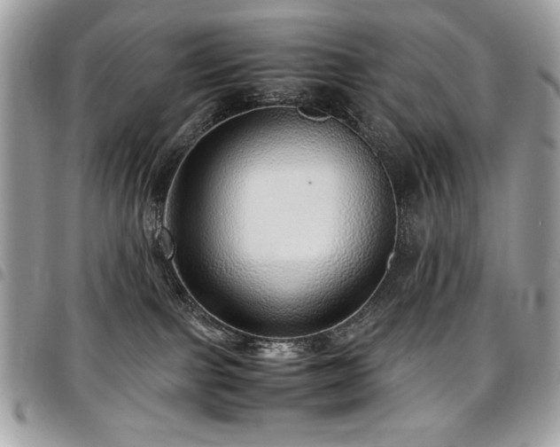 X0000097300091200802151449
