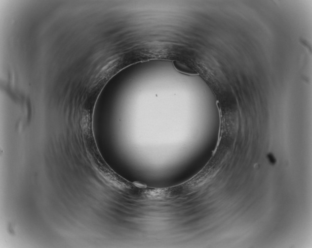 X0000097300092200802151449