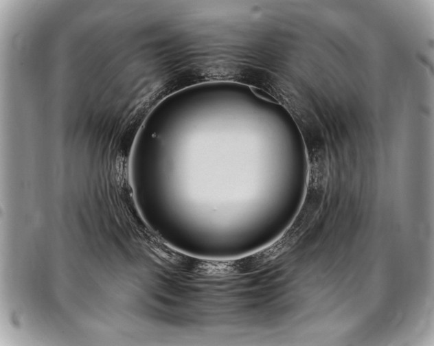 X0000097300093200802151449