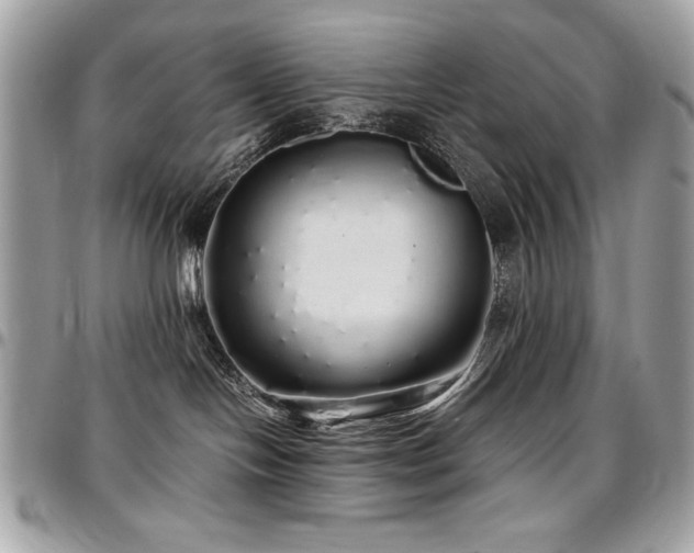X0000097300094200802151449