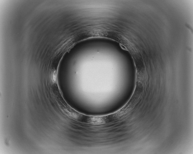X0000097300095200802151449