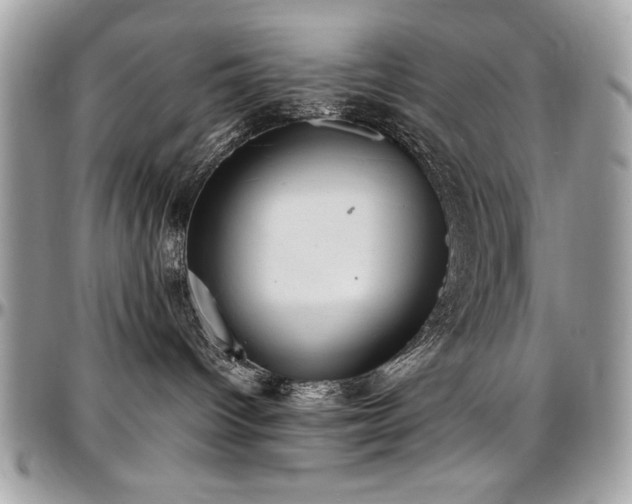 X0000097300096200802151449
