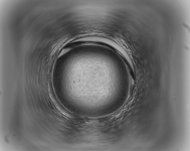 X0000097300097200802151448