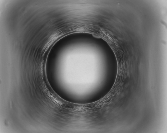 X0000097300098200802151448