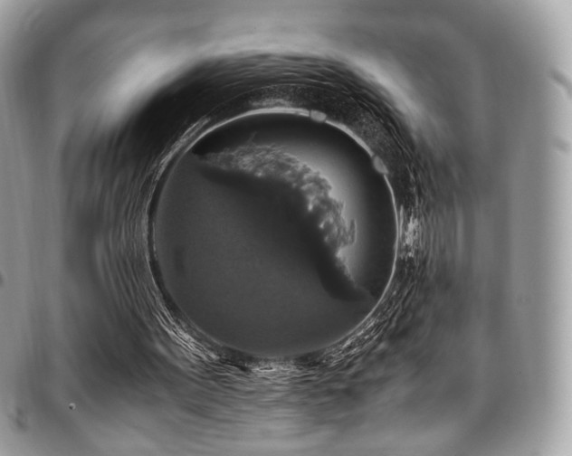 X0000097300099200802151448