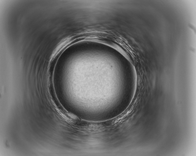 X0000097300101200802151448