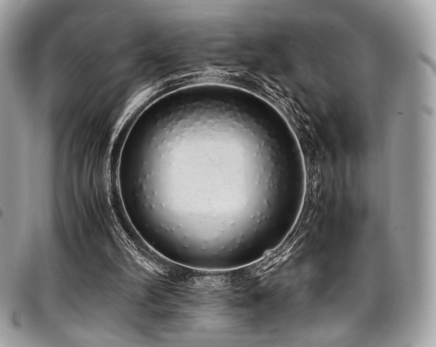 X0000097300102200802151448