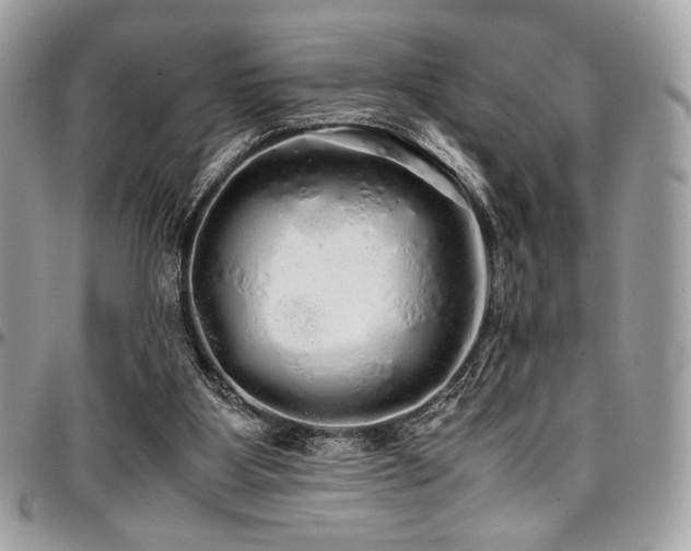 X0000097300107200802151448