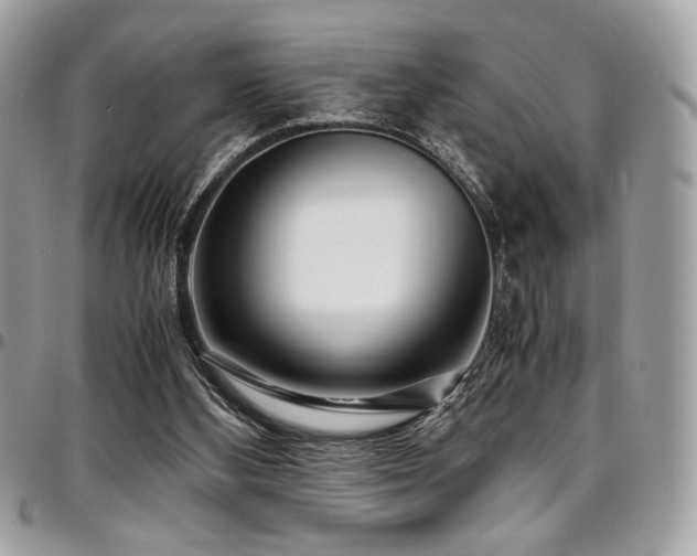 X0000097300108200802151448