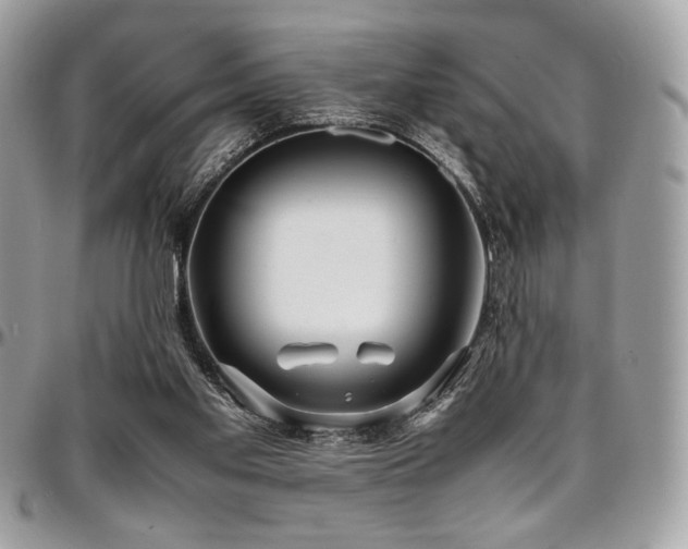 X0000097300109200802151448