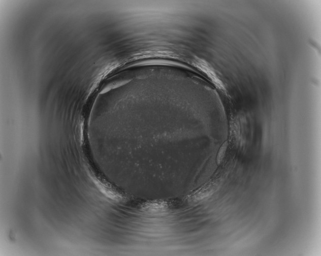X0000097300110200802151448