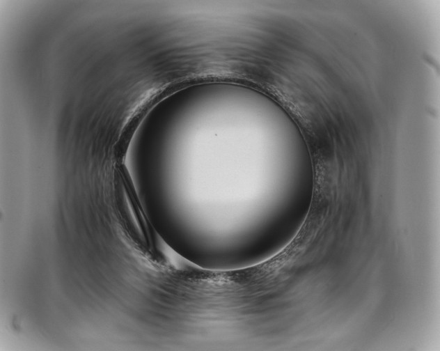 X0000097300112200802151448