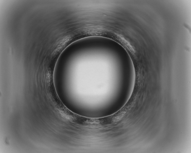 X0000097300113200802151448