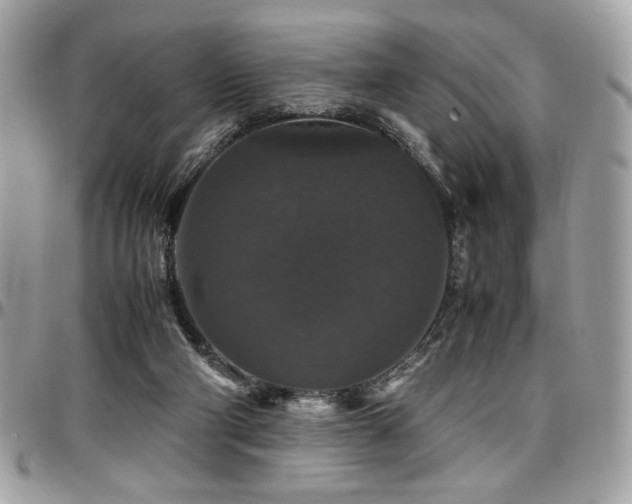 X0000097300114200802151448