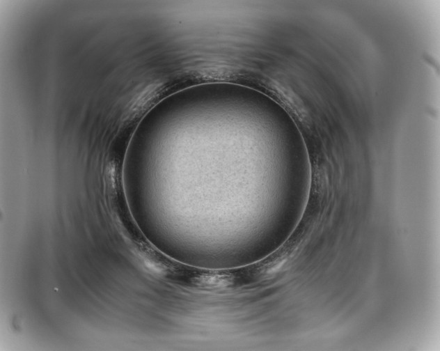X0000097300117200802151448