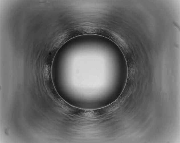 X0000097300121200802151448