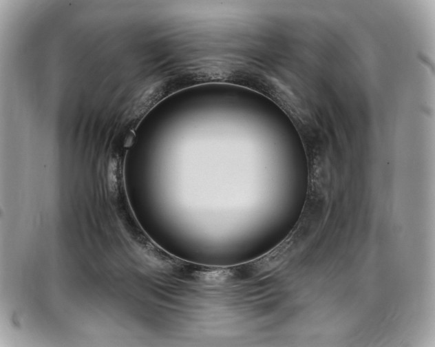 X0000097300122200802151448