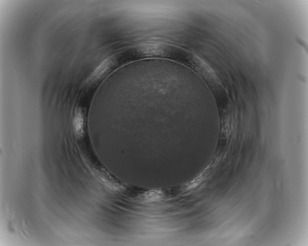 X0000097300124200802151448