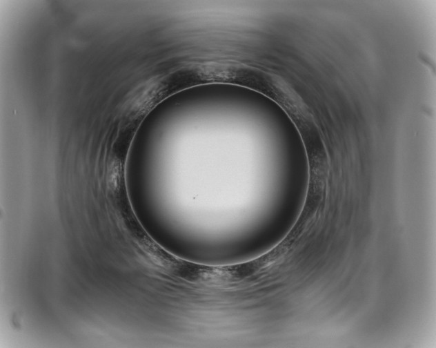 X0000097300125200802151448