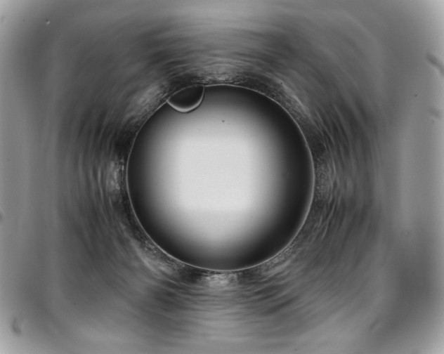 X0000097300126200802151448