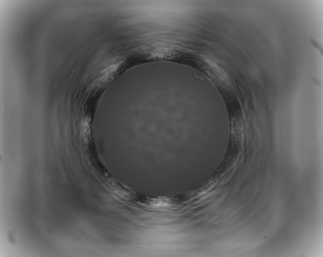 X0000097300127200802151448