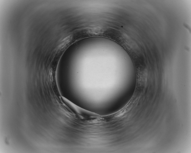 X0000097300128200802151448