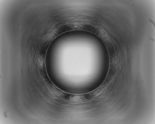 X0000097300129200802151448