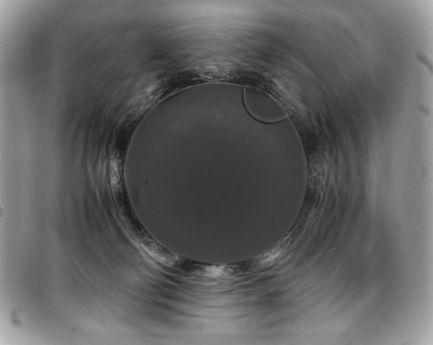 X0000097300130200802151448