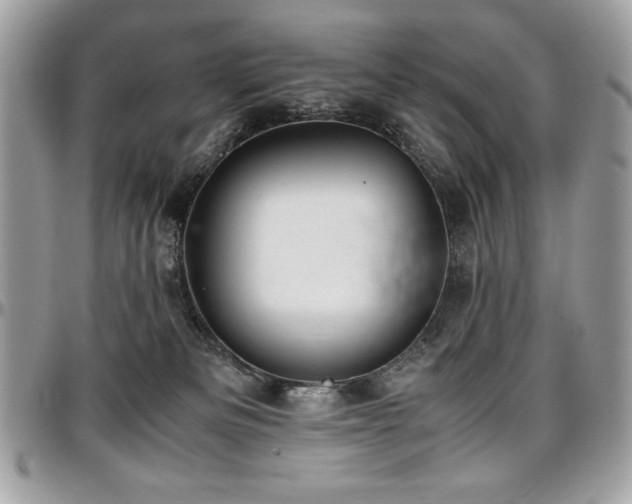 X0000097300133200802151448