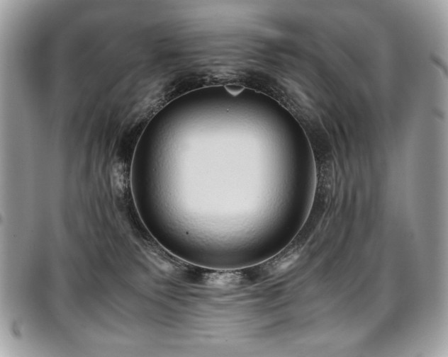 X0000097300135200802151448