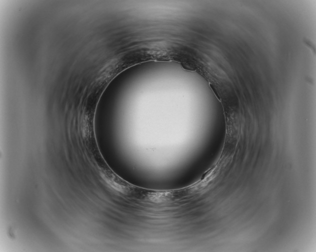 X0000097300136200802151448